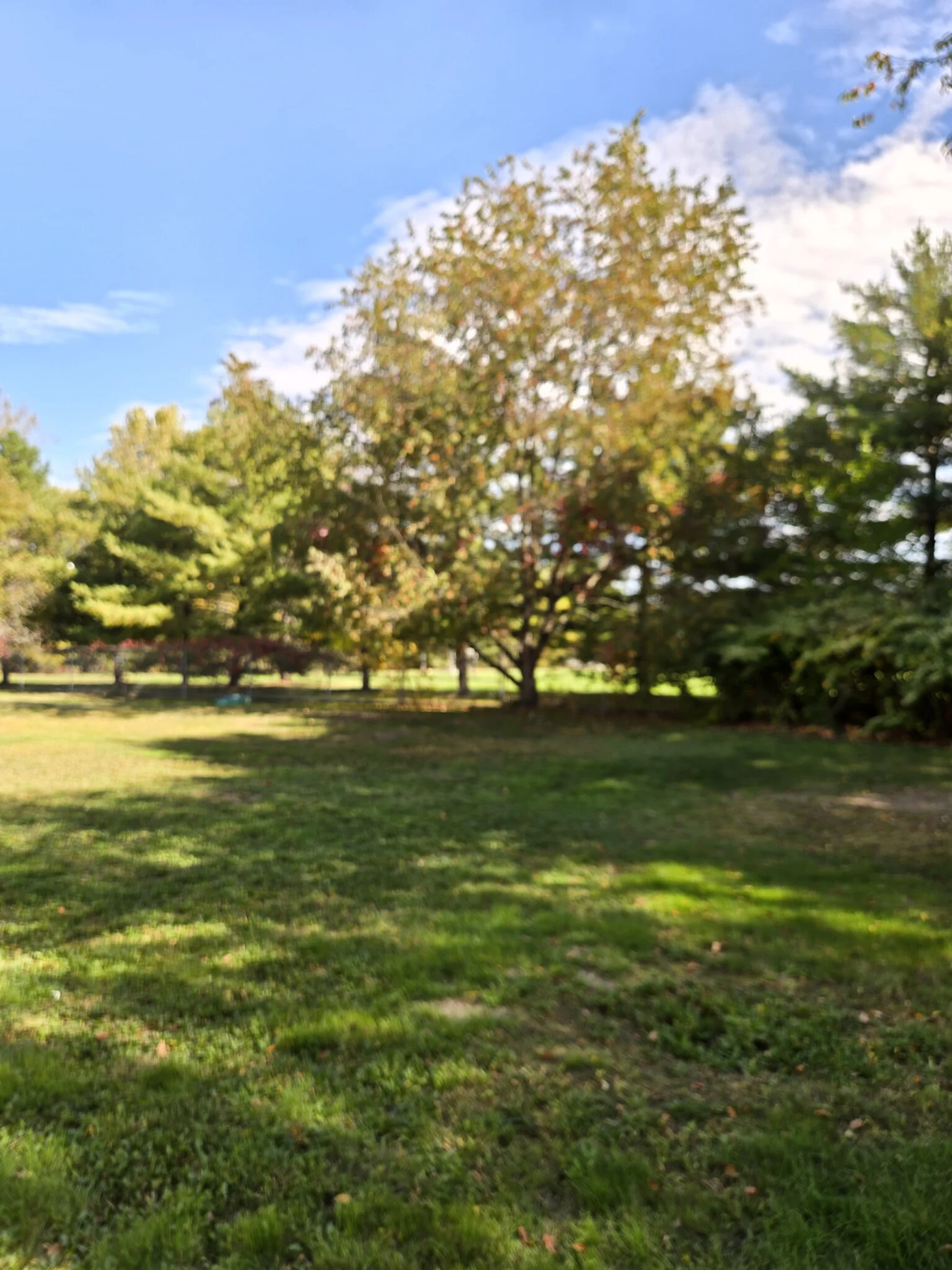 2 bed, 2.5 bath apartment for rent at 24 Rustic St, Newton Corner — photo 20 of 34