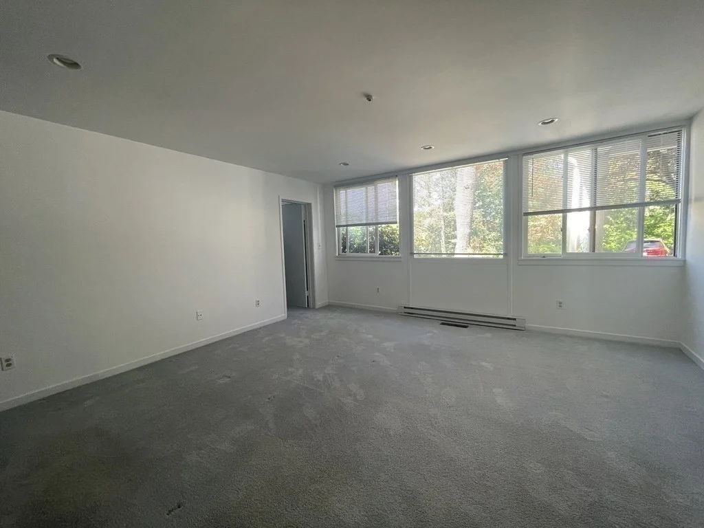 2 bed, 2 bath apartment for rent at 241 Perkins Unit CU-1, Jamaica Plain — photo 8 of 14