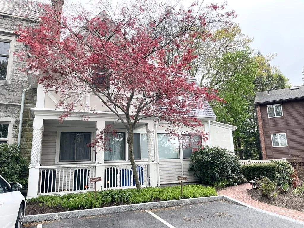 2 bed, 2 bath apartment for rent at 241 Perkins Unit CU-1, Jamaica Plain — photo 1 of 14