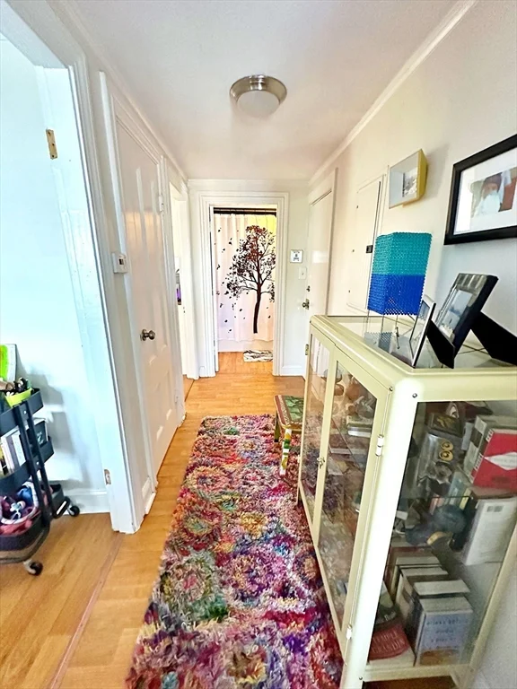 1 bed, 1 bath apartment for rent at 242 Princeton St Unit 3, East Boston — photo 3 of 12