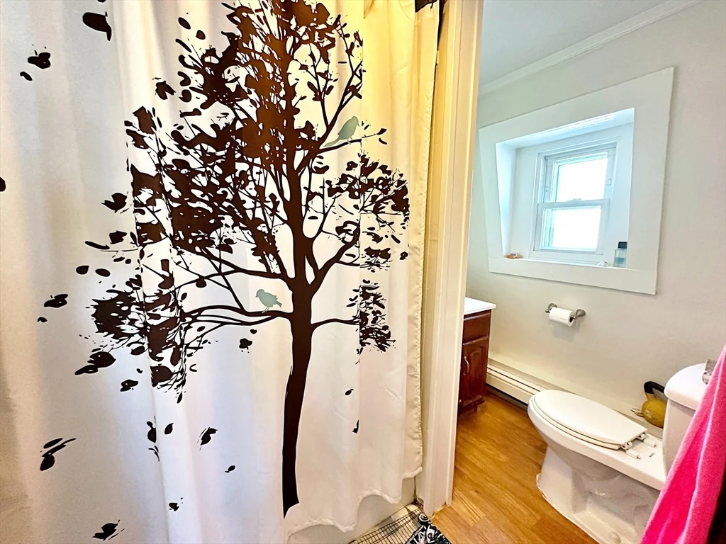 1 bed, 1 bath apartment for rent at 242 Princeton St Unit 3, East Boston — photo 10 of 12