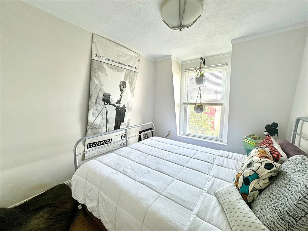1 bed, 1 bath apartment for rent at 242 Princeton St Unit 3, East Boston — photo 8 of 12