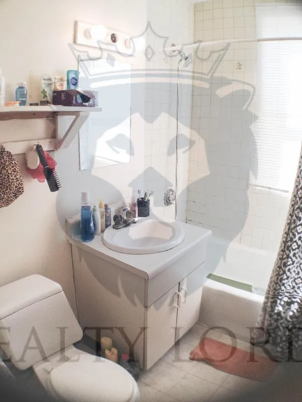 2 bed, 1 bath apartment for rent at 243 Harvard Ave Unit 4, Allston — photo 23 of 25