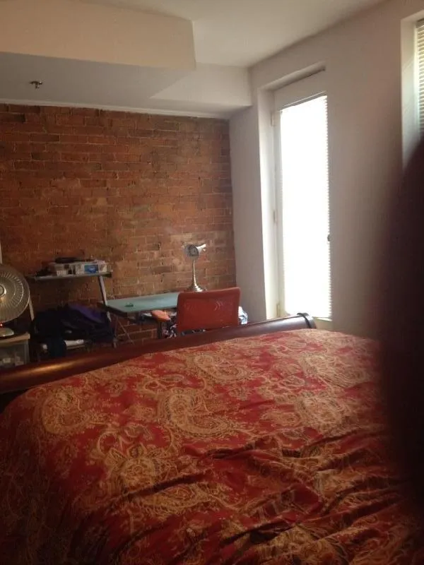 3 bed, 3 bath apartment for rent at 243 Northampton St Unit 1, Roxbury — photo 3 of 12
