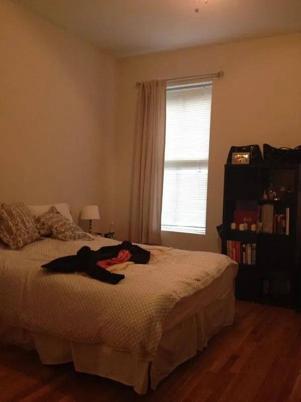 3 bed, 3 bath apartment for rent at 243 Northampton St Unit 1, Roxbury — photo 5 of 12