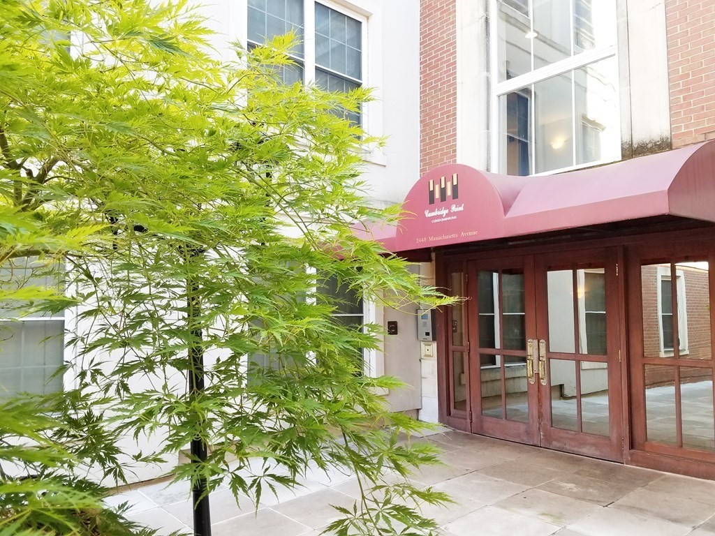 2 bed, 2 bath apartment for rent at 2440 Massachusetts Ave Unit 7, Cambridge — photo 14 of 14