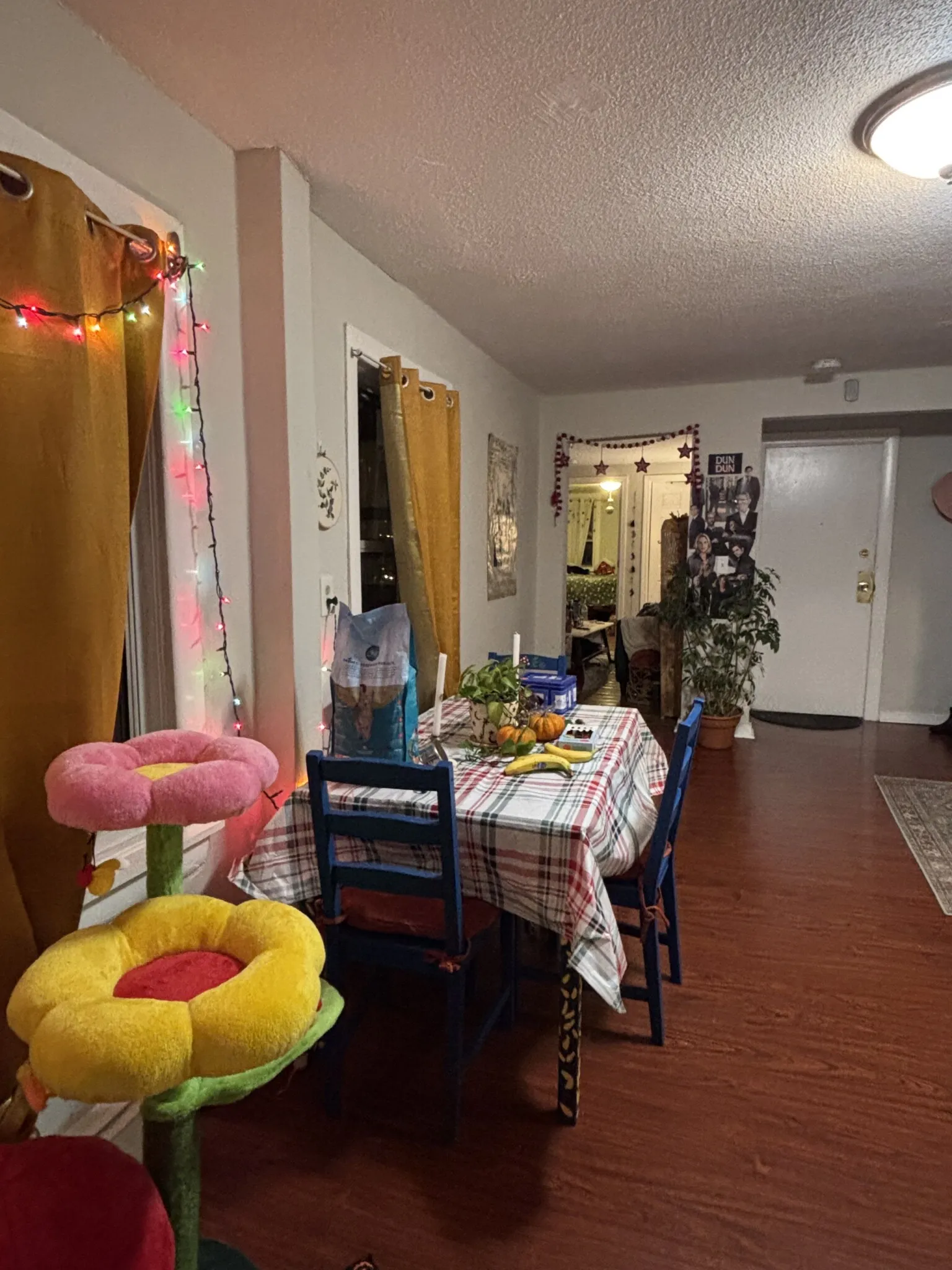 2 bed, 1 bath apartment for rent at 247 Bennington St Unit 3, East Boston — photo 5 of 26