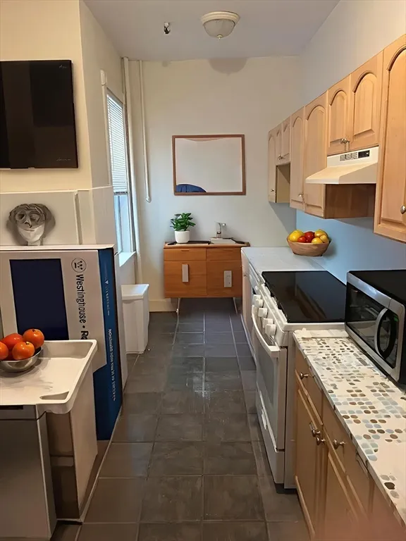 1 bed, 1 bath apartment for rent at 247 Chestnut Hill Ave Unit 2, Brighton