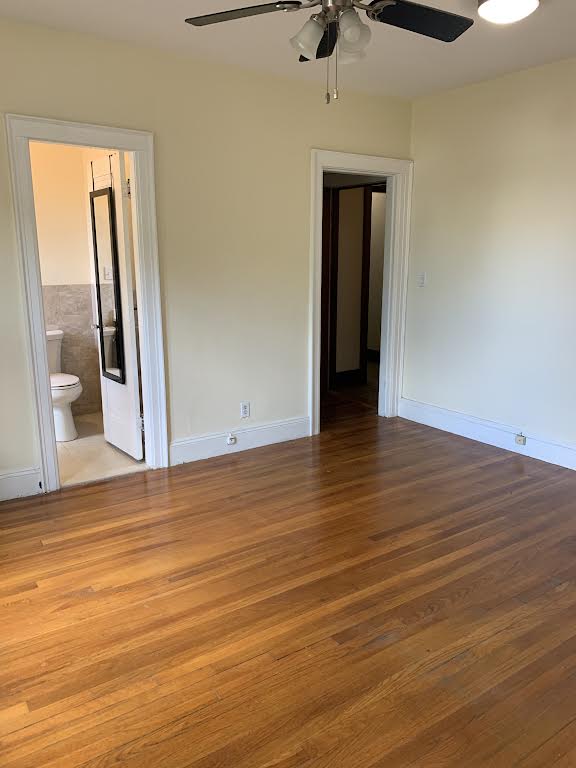 Studio bed, 1 bath apartment for rent at 247 Chestnut Hill Ave Unit 3, Brighton — photo 2 of 8