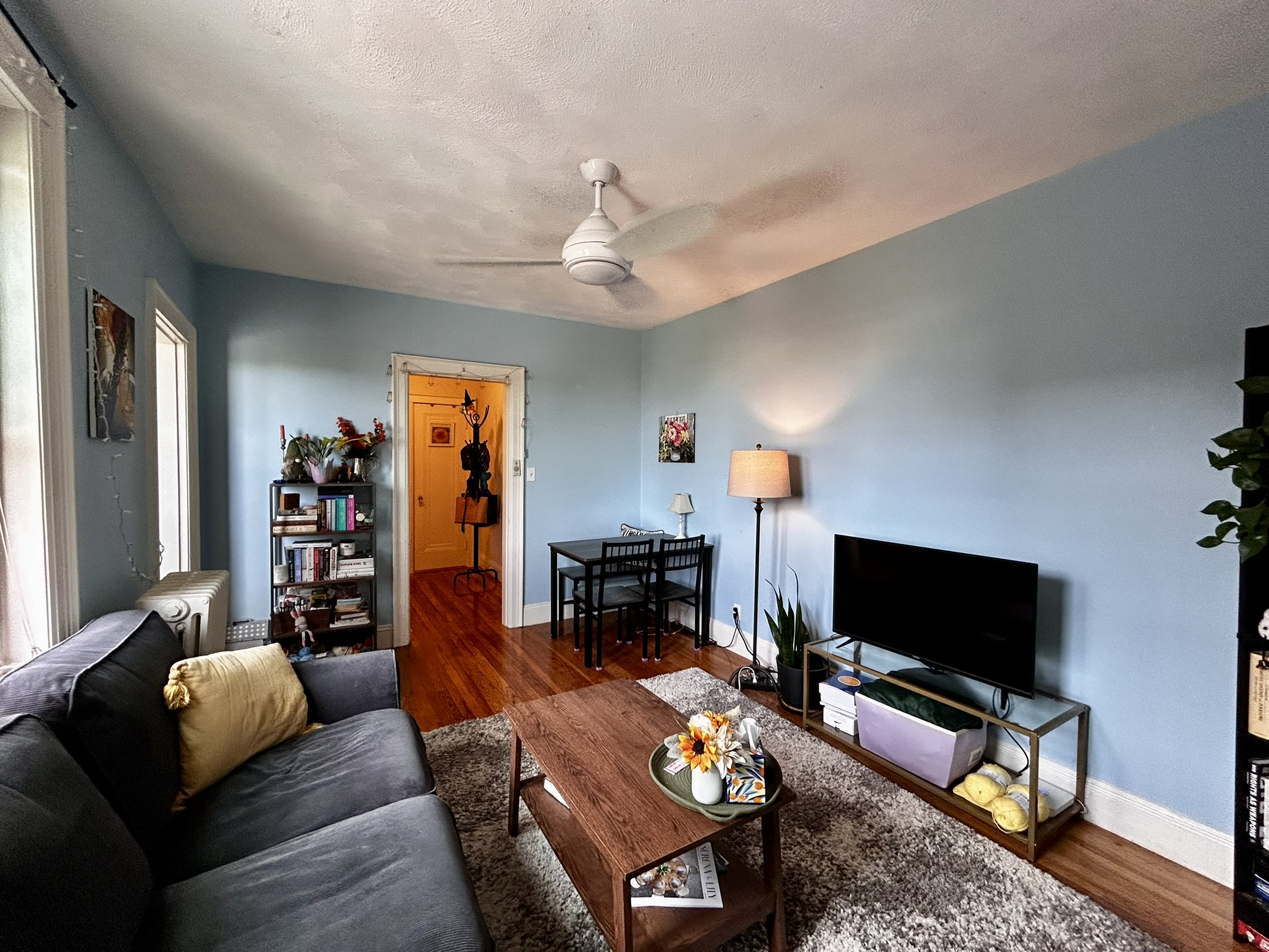1 bed, 1 bath apartment for rent at 247 Chestnut Hill Ave Unit 55, Brighton — photo 6 of 8