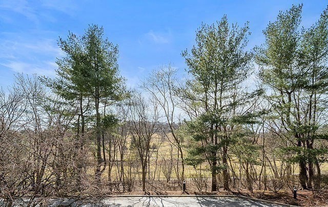 2 bed, 2 bath apartment for rent at 248 Kenrick St Unit 248, Newton — photo 19 of 20