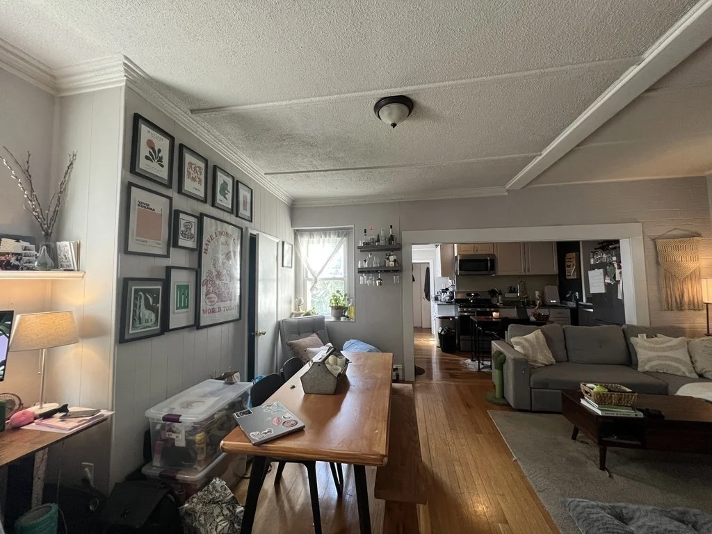 2 bed, 1 bath apartment for rent at 248 Princeton St Unit 2, Boston — photo 3 of 12