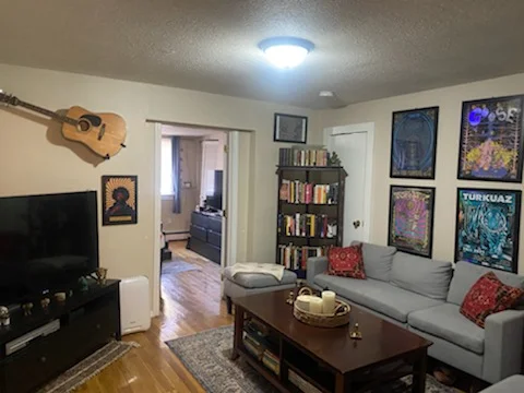 1 bed, 1 bath apartment for rent at 249 Bennington St Unit 1, East Boston — photo 5 of 12