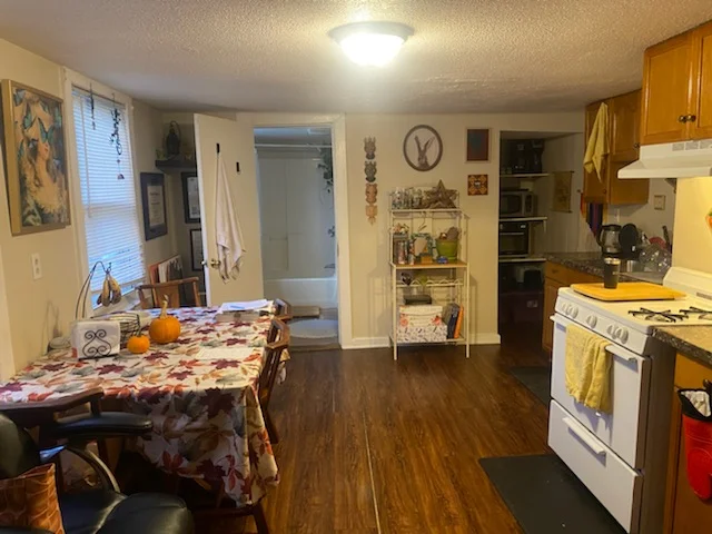 1 bed, 1 bath apartment for rent at 249 Bennington St Unit 1, East Boston — photo 3 of 12