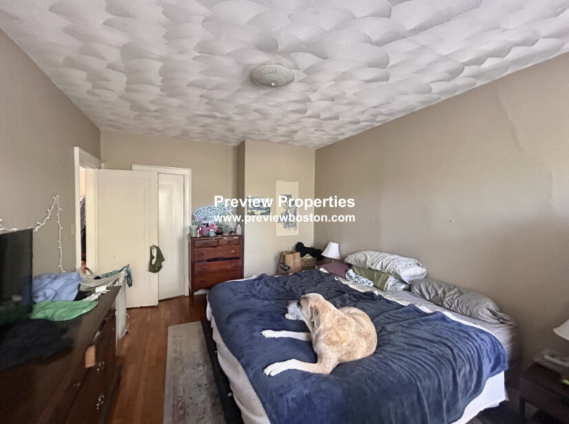 2 bed, 1 bath apartment for rent at 249 Chestnut Hill Ave Unit 32P, Brighton — photo 5 of 28