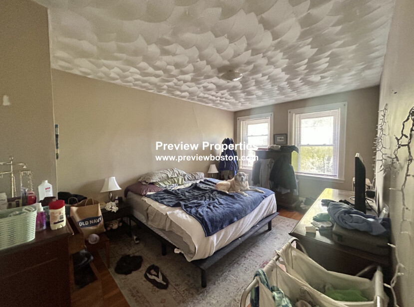2 bed, 1 bath apartment for rent at 249 Chestnut Hill Ave Unit 32P, Brighton — photo 4 of 28