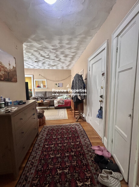 2 bed, 1 bath apartment for rent at 249 Chestnut Hill Ave Unit 32P, Brighton — photo 3 of 28