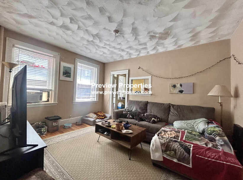 2 bed, 1 bath apartment for rent at 249 Chestnut Hill Ave Unit 32P, Brighton — photo 2 of 28