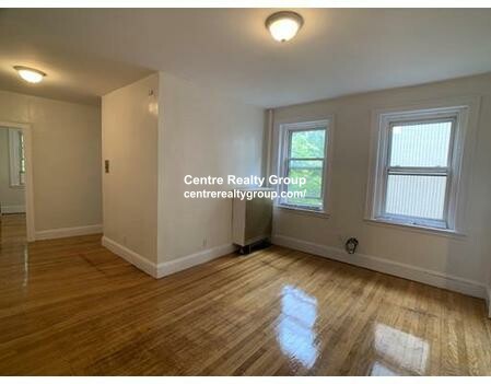 2 bed, 1 bath apartment for rent at 249 Chestnut Hill Ave Unit 42, Brighton — photo 3 of 10