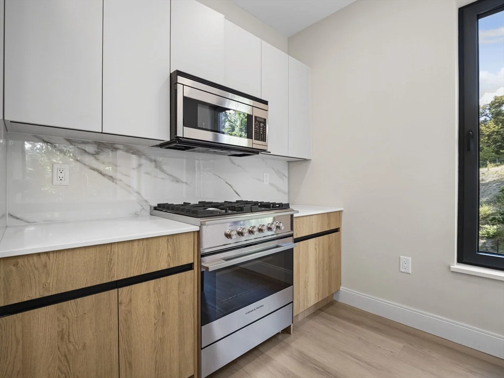 2 bed, 2 bath apartment for rent at 249 Corey Rd Unit 309, Boston — photo 5 of 29
