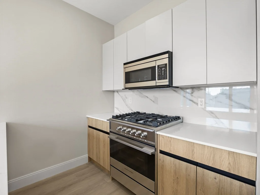 2 bed, 2 bath apartment for rent at 249 Corey Rd Unit 401, Boston — photo 6 of 34