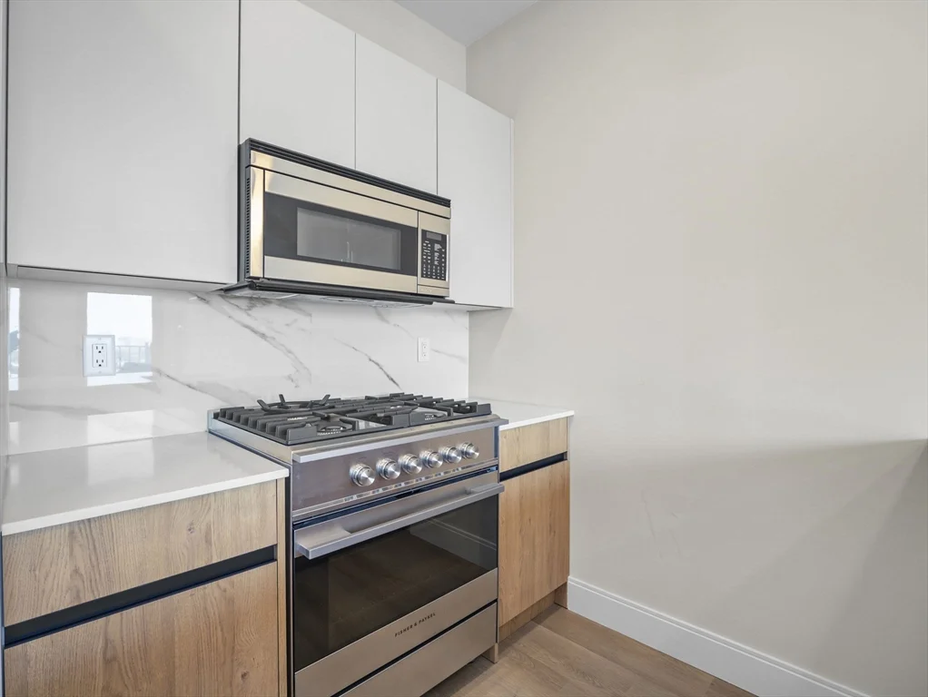 1 bed, 1 bath apartment for rent at 249 Corey Rd Unit 404, Boston — photo 6 of 31