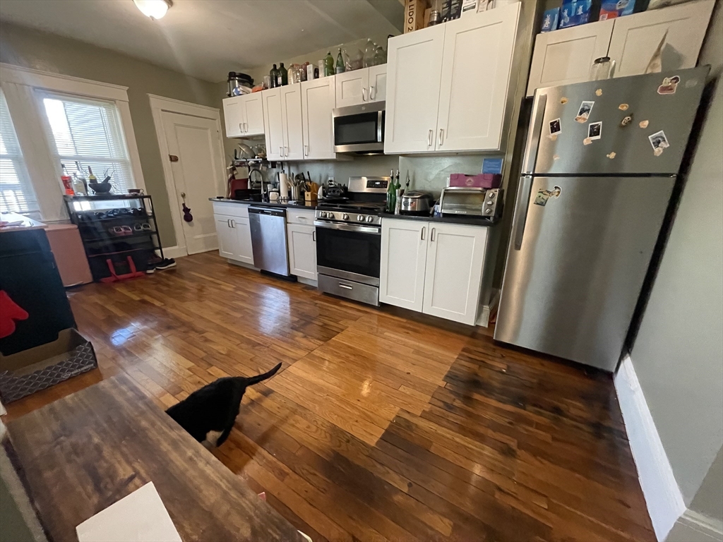 2 bed, 1 bath apartment for rent at 249 Hyde Park Ave Unit 1L, Jamaica Plain — photo 4 of 8