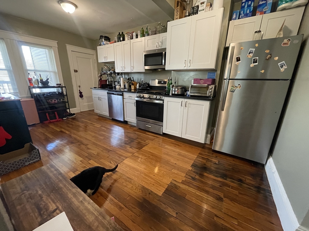 2 bed, 1 bath apartment for rent at 249 Hyde Park Ave Unit 1L, Jamaica Plain — photo 3 of 8