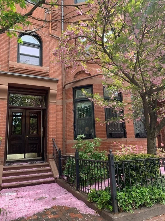 1 bed, 1 bath apartment for rent at 249 W Newton Unit 1, Back Bay — photo 13 of 16