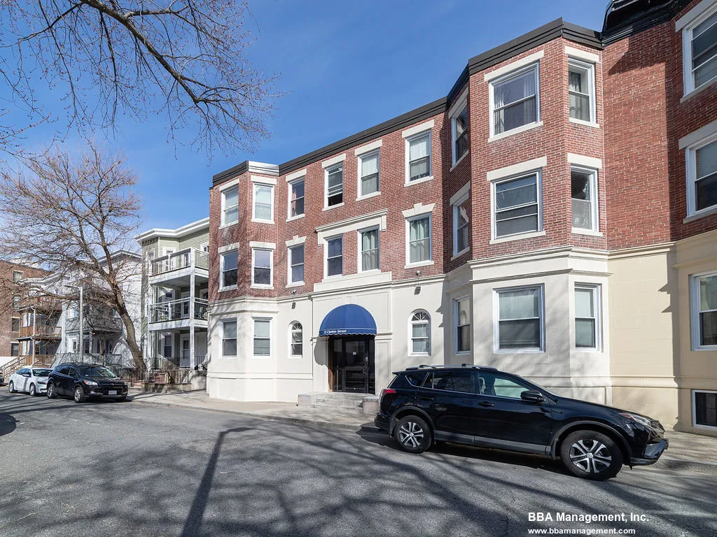 4 bed, 1 bath apartment for rent at 25 Chester St Unit 4, Brighton — photo 8 of 11