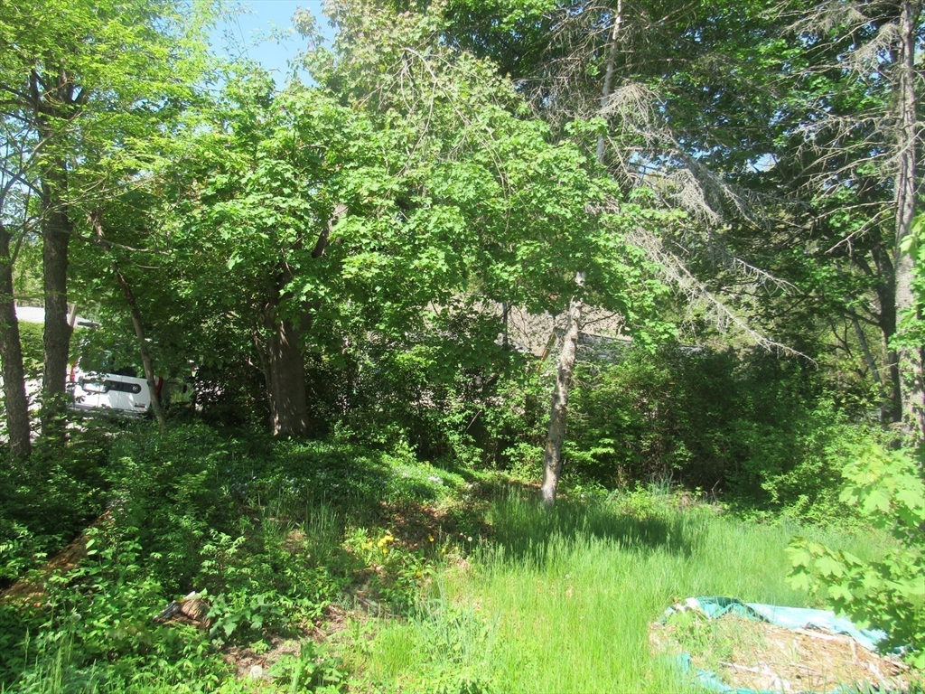 3 bed, 1 bath apartment for rent at 25 Crescent Unit 2, Oakdale — photo 11 of 20