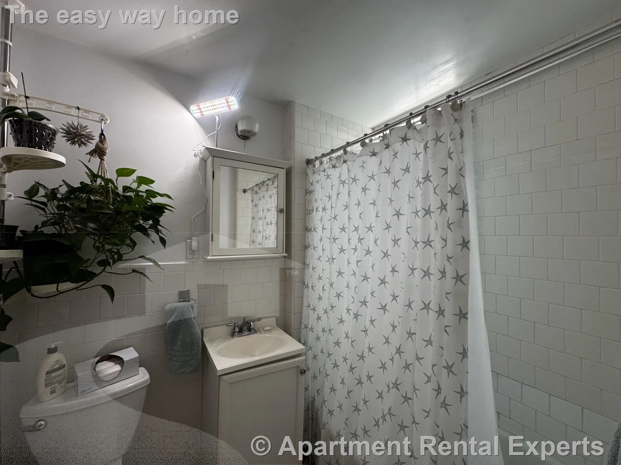Studio bed, 1 bath apartment for rent at 25 Highland Ave Unit 1F, Mid Cambridge — photo 5 of 8