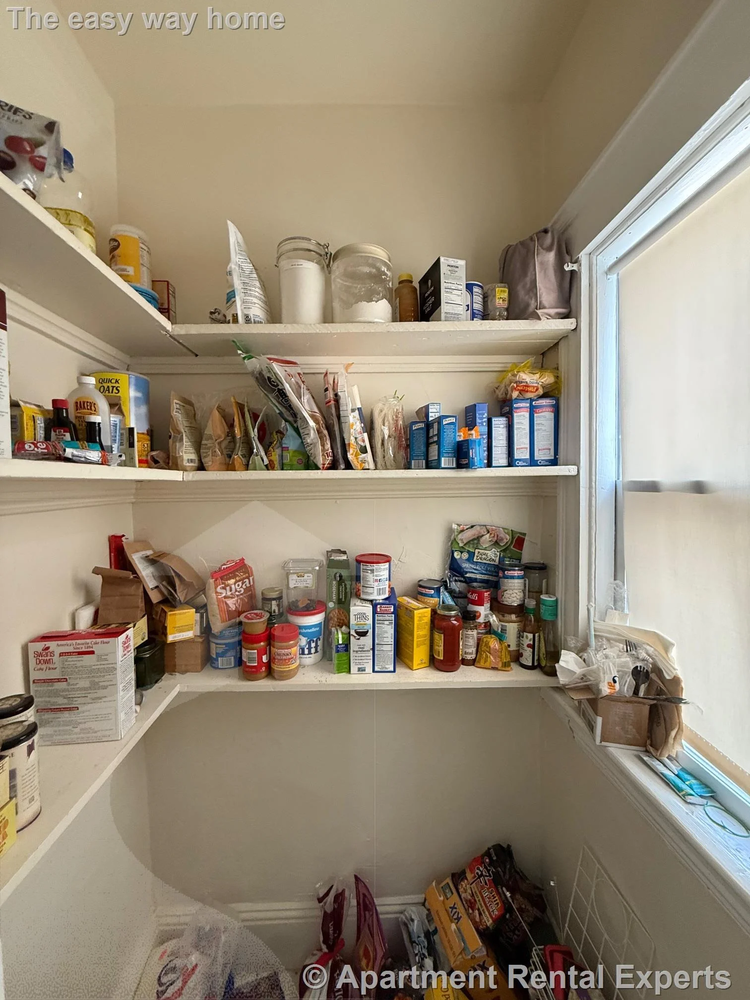 1 bed, 1 bath apartment for rent at 25 Knapp St Unit 1, Union Square — photo 4 of 10