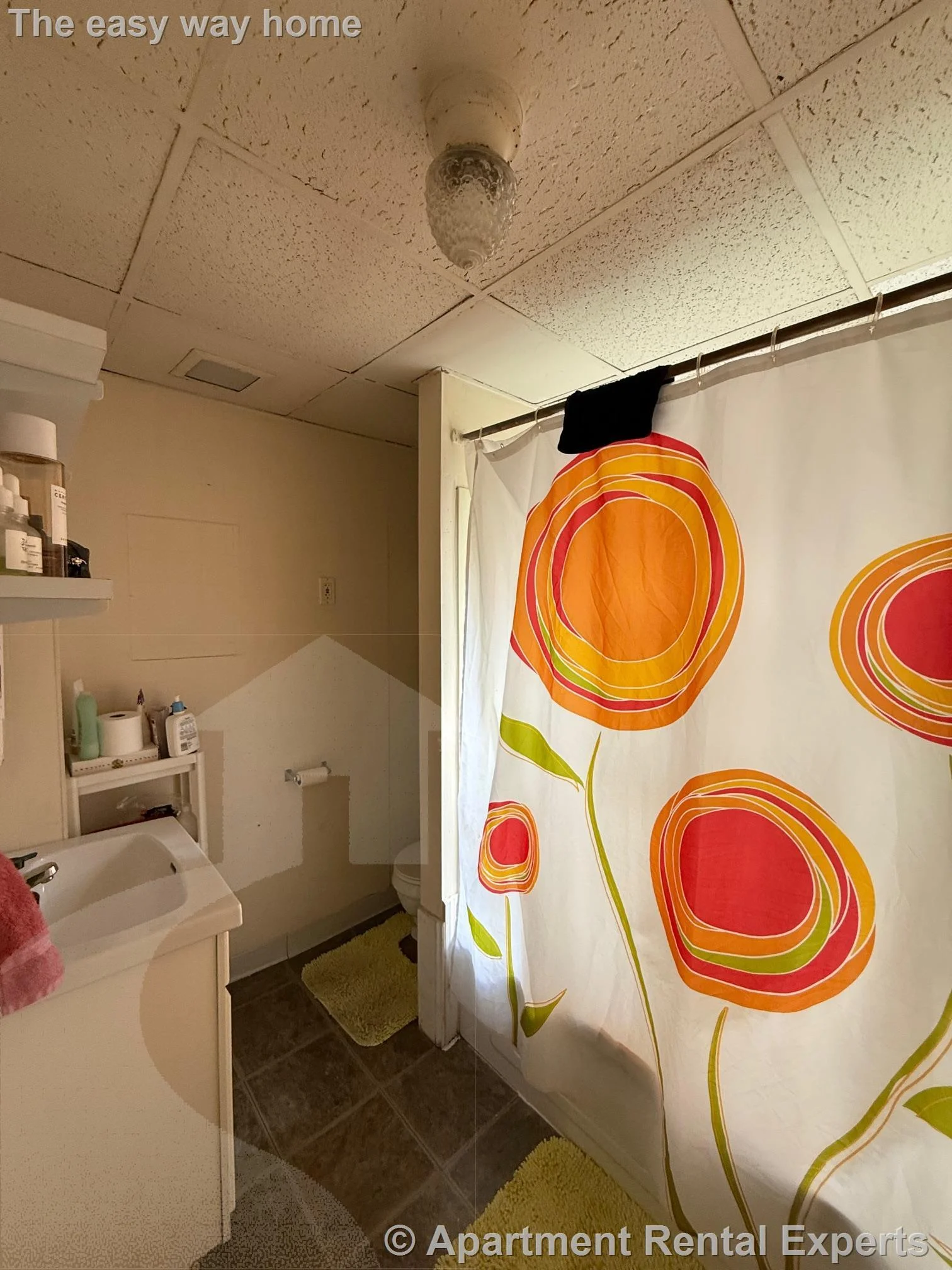 1 bed, 1 bath apartment for rent at 25 Knapp St Unit 1, Union Square — photo 8 of 10