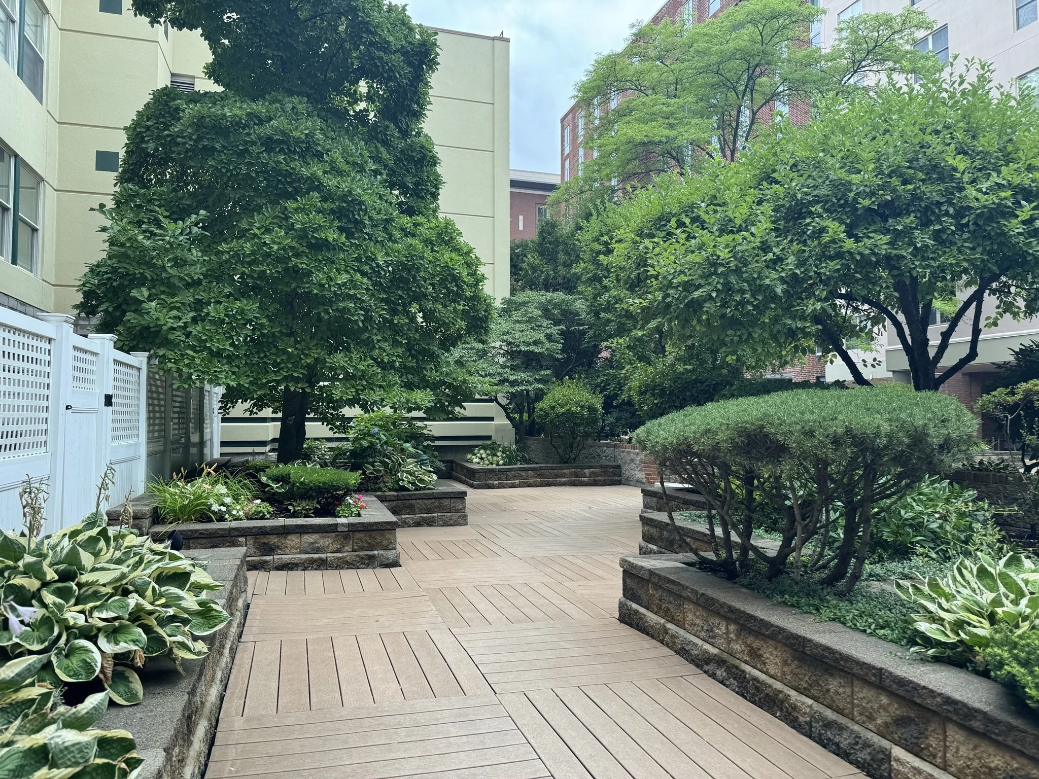 2 bed, 2 bath apartment for rent at 25 Marion Unit 31, Coolidge Corner — photo 11 of 13