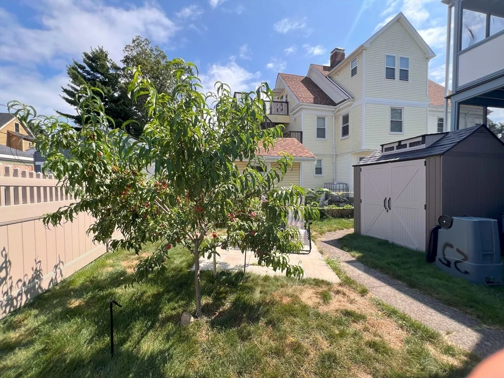 2 bed, 1 bath apartment for rent at 25 Rowena St Unit 1, Dorchester — photo 18 of 19