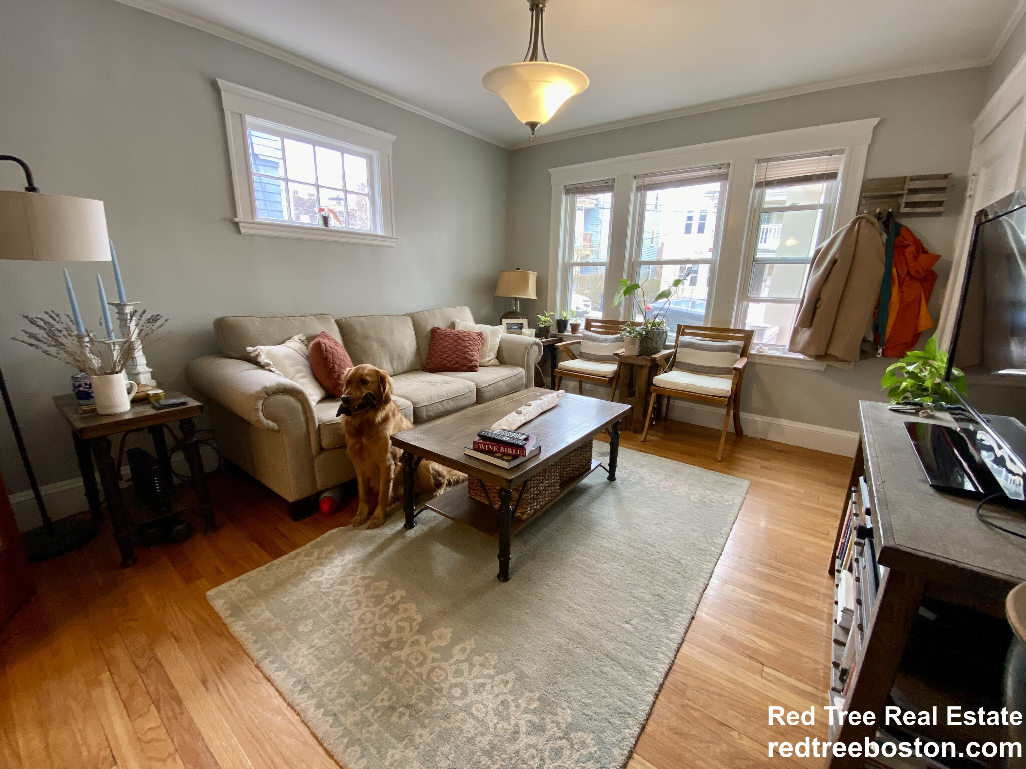 1 bed, 1 bath apartment for rent at 25 Saint Peter St Unit 1R, Jamaica Plain — photo 3 of 25