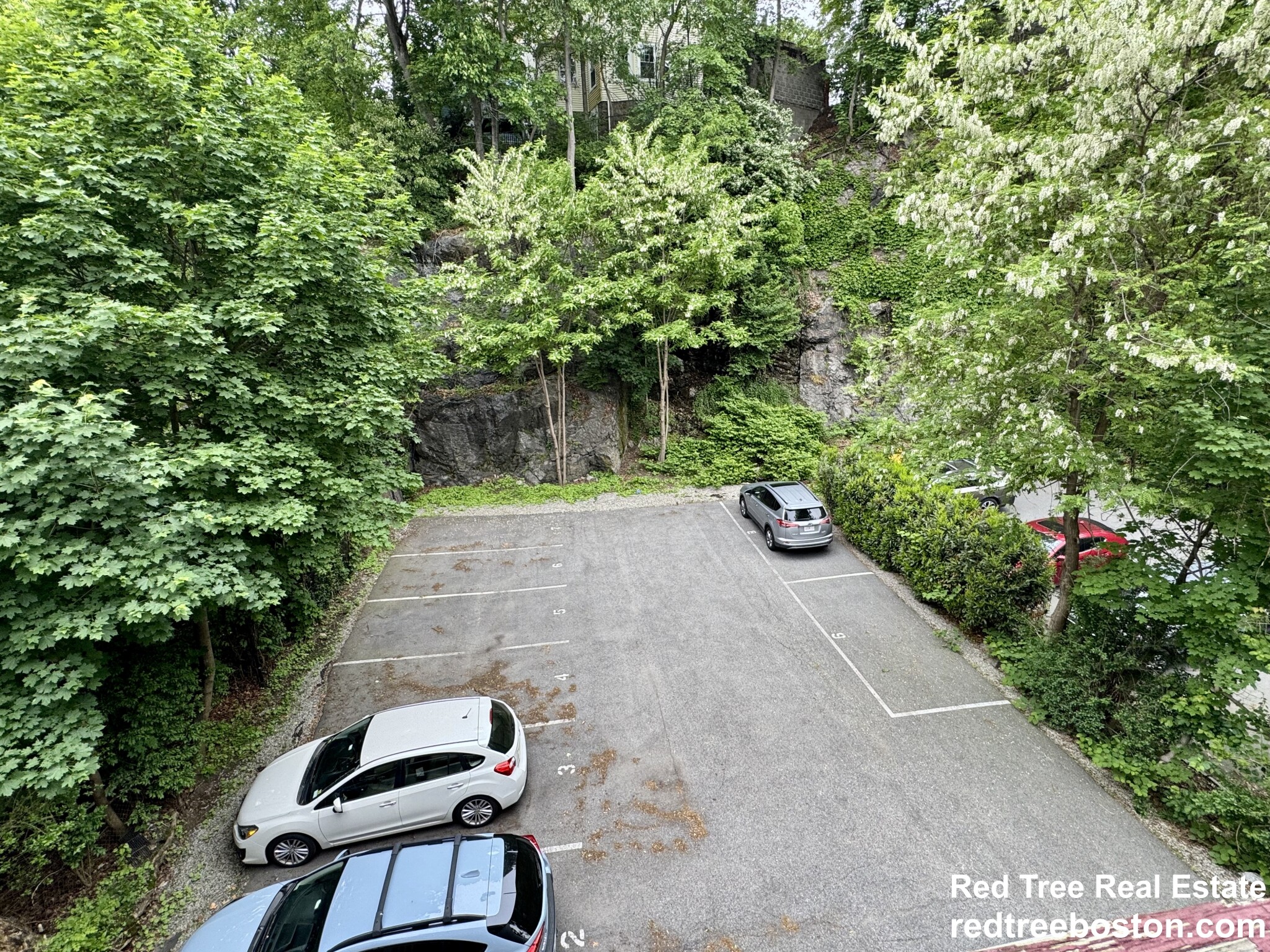 1 bed, 1 bath apartment for rent at 25 Saint Peter Unit 3R, Jamaica Plain — photo 16 of 17