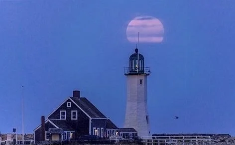 4 bed, 1 bath apartment for rent at 25 Seaside Rd Unit 0, Egypt — photo 36 of 42