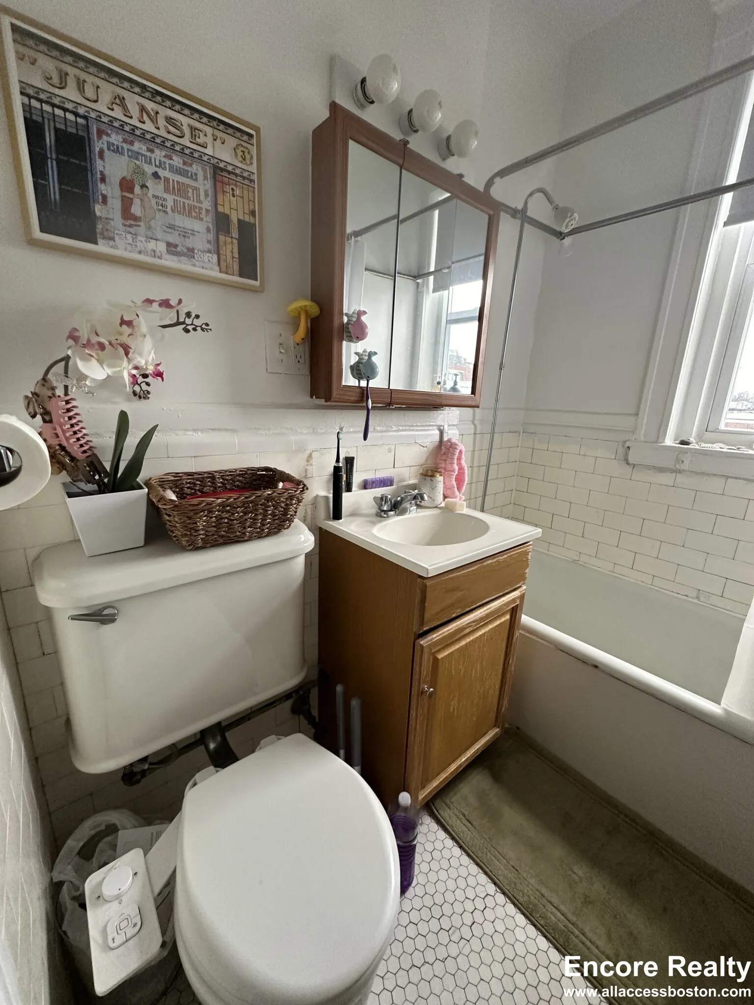 1 bed, 1 bath apartment for rent at 25 Walbridge St Unit 16A, Allston — photo 12 of 13