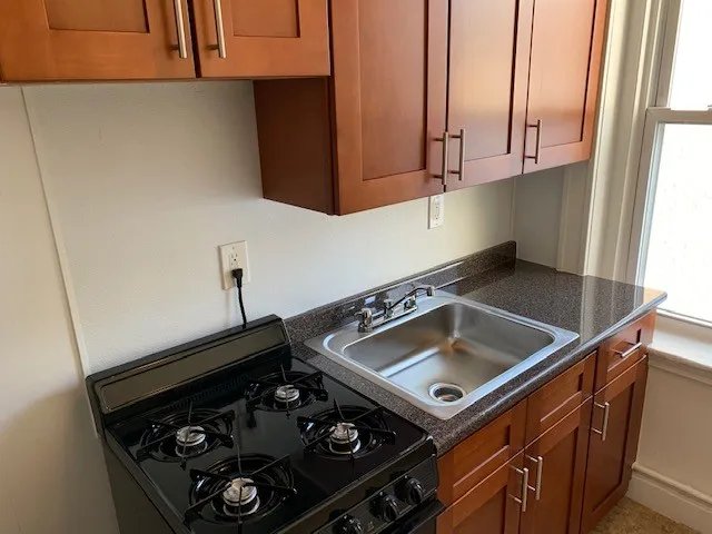 Studio bed, 1 bath apartment for rent at 25 Walbridge St Unit 18, Allston — photo 15 of 16