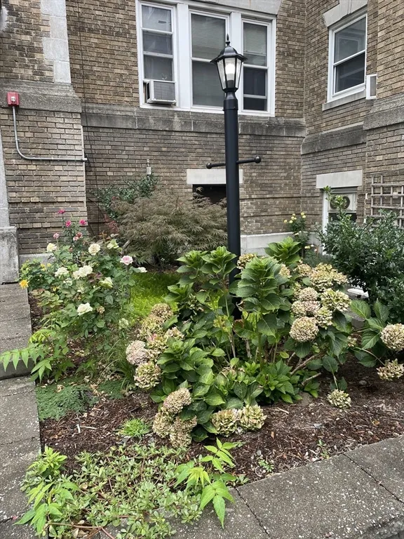 1 bed, 1 bath apartment for rent at 25 Westbourne Ter Unit 2A, Corey Hill — photo 3 of 10