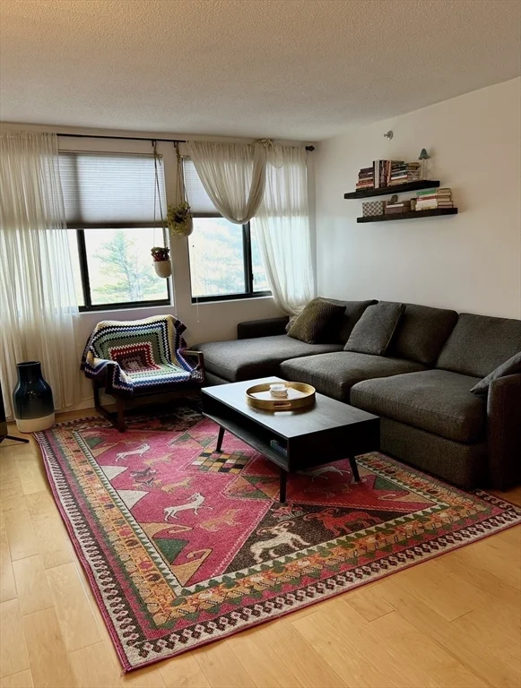 1 bed, 1 bath apartment for rent at 250 Hammond Pond Pkwy Unit 504N, Chestnut Hill — photo 2 of 8