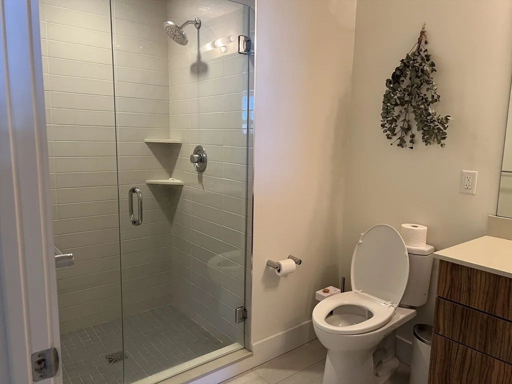 2 bed, 2 bath apartment for rent at 250 Meridian St Unit 408, Boston — photo 6 of 18