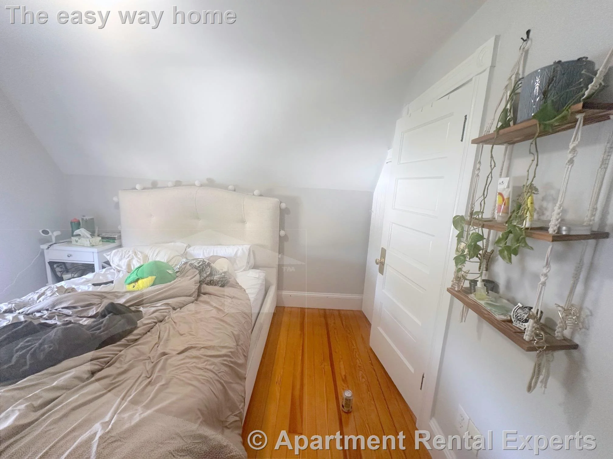 4 bed, 2 bath apartment for rent at 251-253 Arlington St Unit 2, Tufts — photo 12 of 22