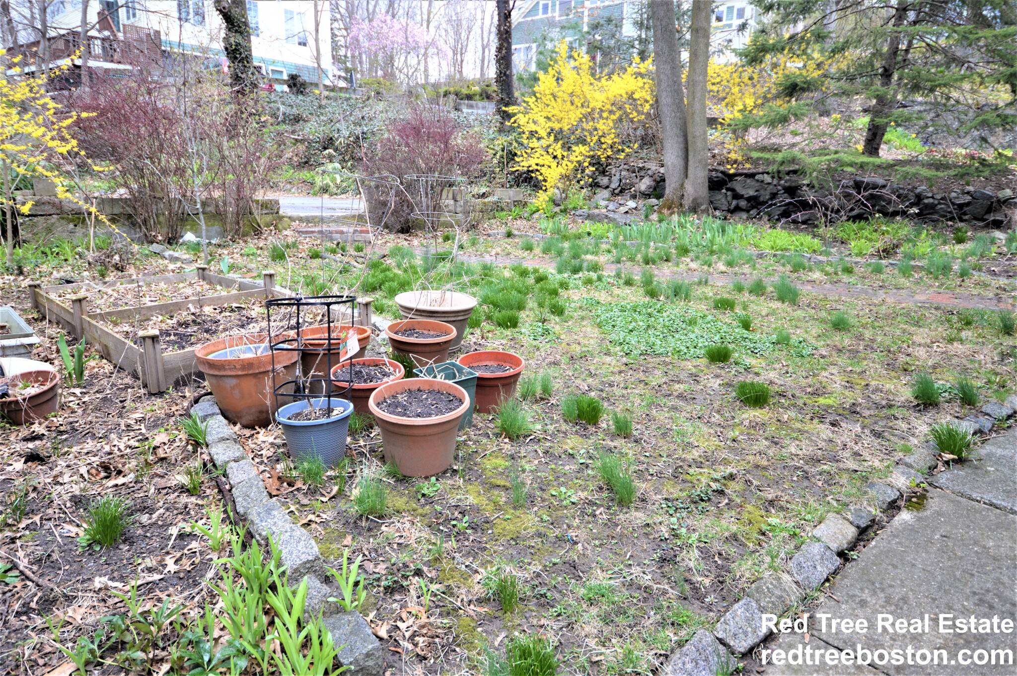 2 bed, 1 bath apartment for rent at 251 Chestnut Ave Unit 3, Jamaica Plain — photo 17 of 18