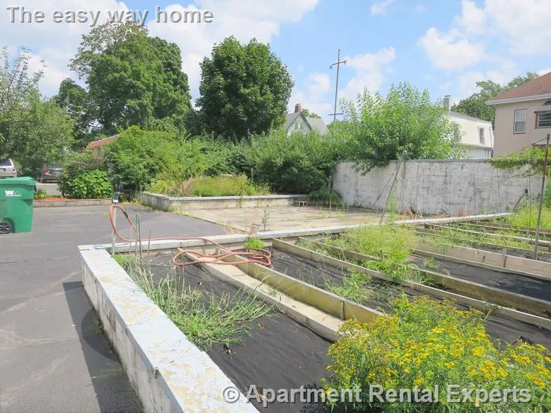 6 bed, 1 bath apartment for rent at 252 Harvard St Unit 2, Tufts — photo 15 of 19