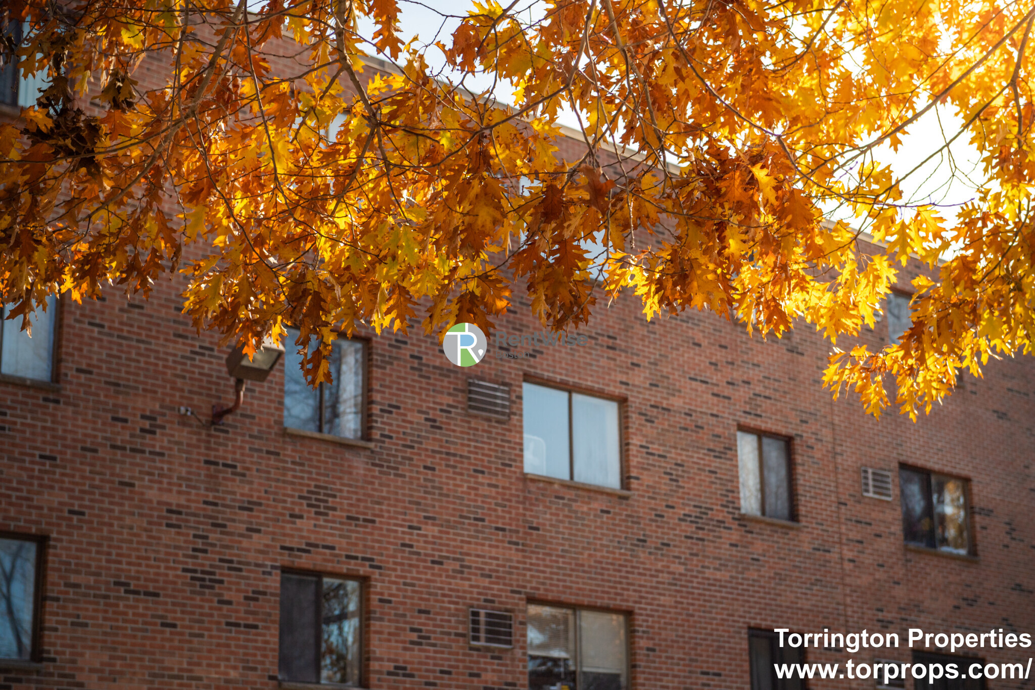 1 bed, 1 bath apartment for rent at 253 Hyde Park Ave Unit 33, Jamaica Plain — photo 4 of 20