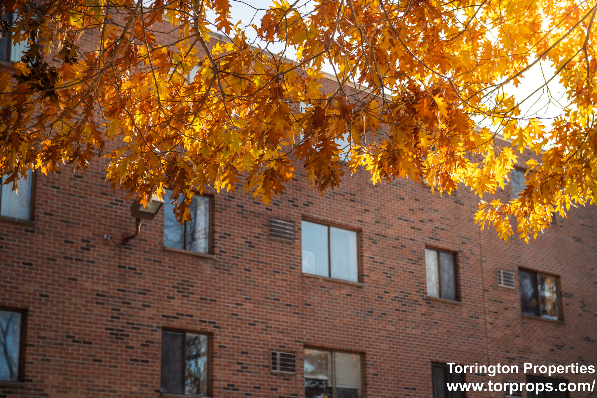 1 bed, 1 bath apartment for rent at 253 Hyde Park Ave Unit 33, Jamaica Plain — photo 20 of 20