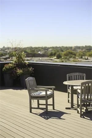 1 bed, 1 bath apartment for rent at 255 Northampton Unit 302, Roxbury — photo 17 of 20